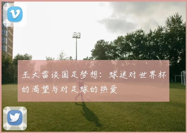 王大雷谈国足梦想：球迷对世界杯的渴望与对足球的热爱