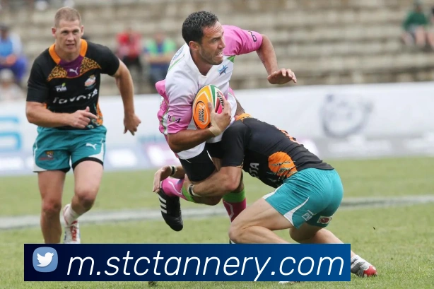 企业概况